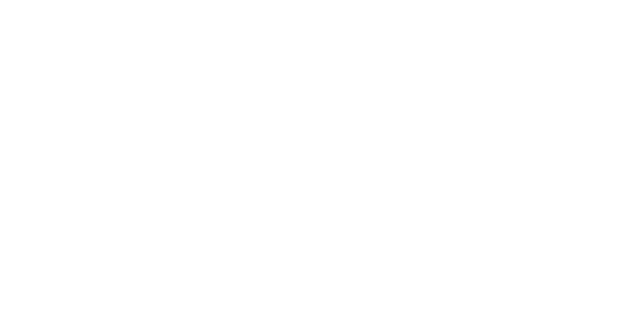 Expert Hood Cleaning White Logo